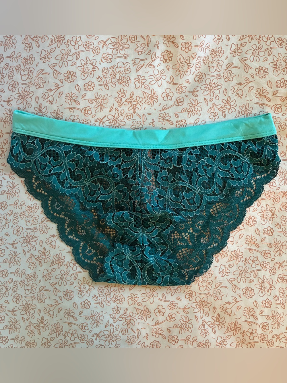 Victoria's Secret Teal Lace Hipster Panty